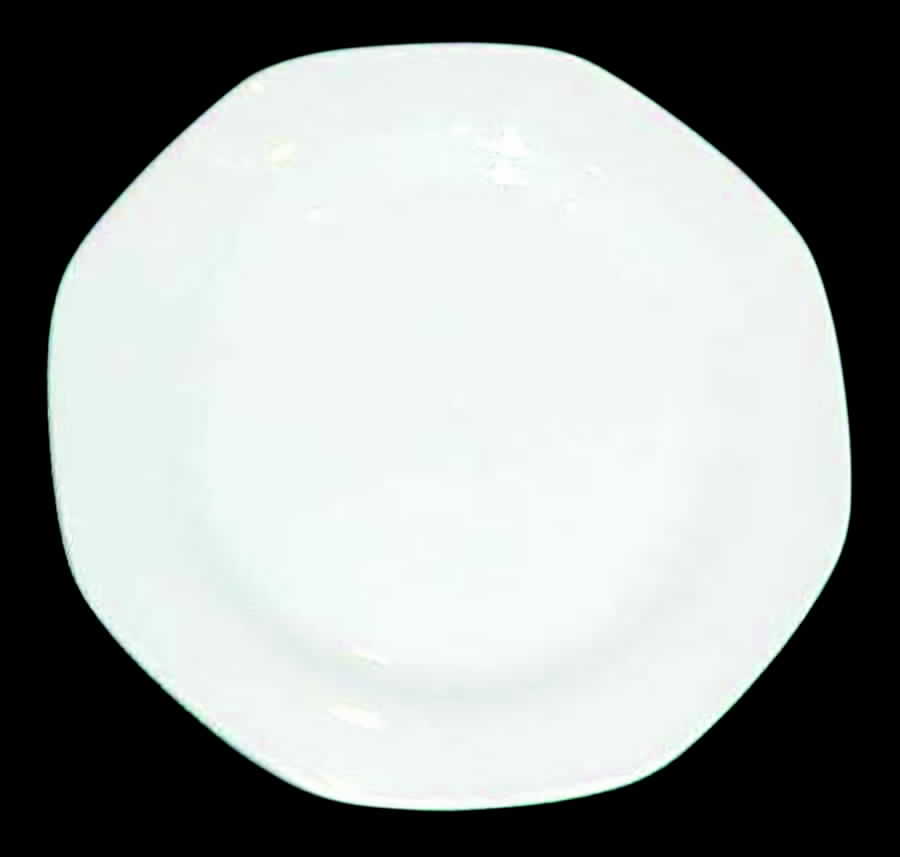 Chef's Top Dinner Plate by Noritake-1