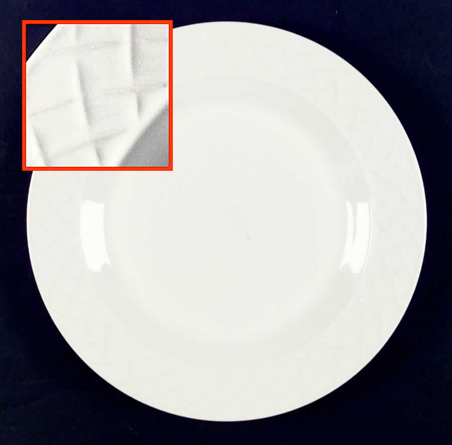 Perennial Colours Ivory Dinner Plate by Nancy Calhoun-1