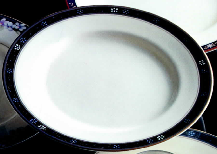 Aviance Black Dinner Plate by Narumi-1