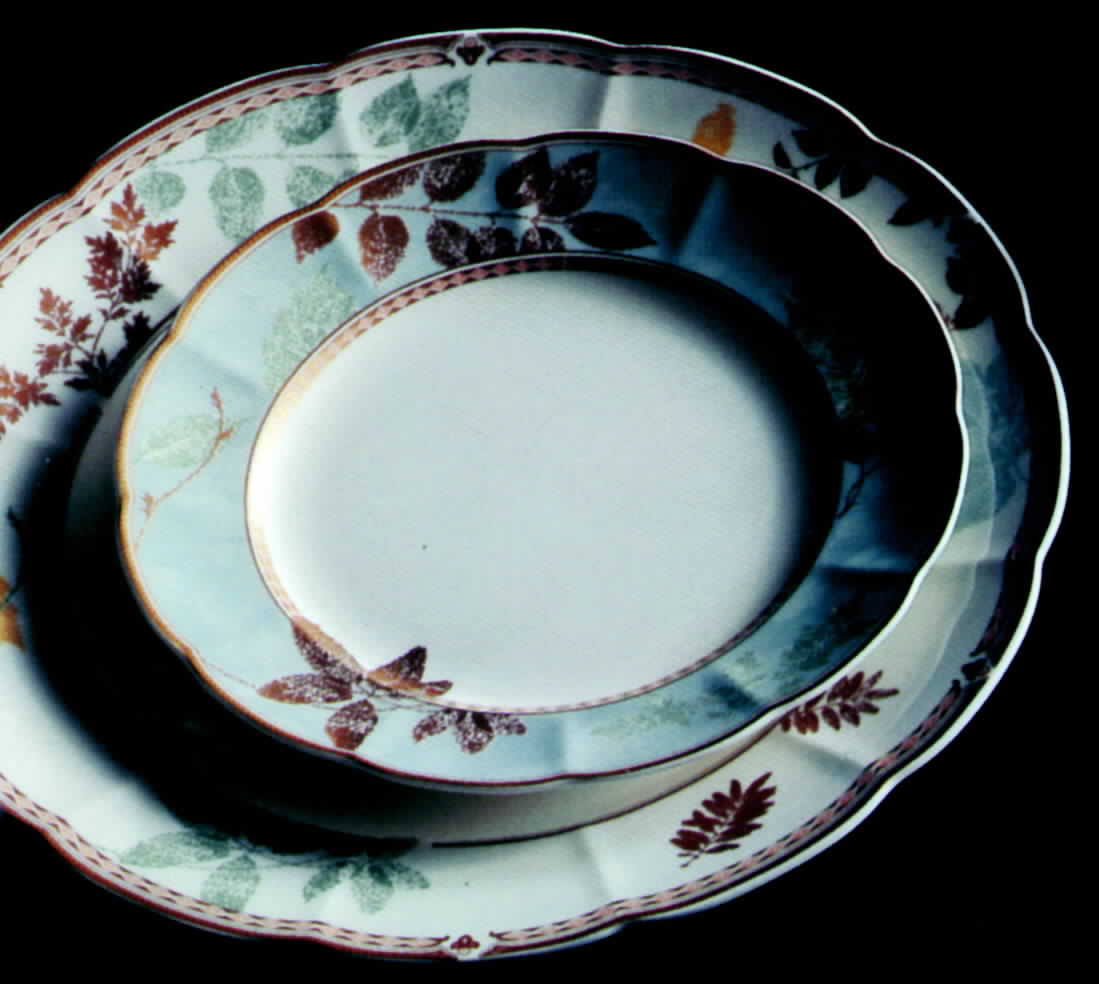 Raison De Beau Dinner Plate by Narumi-1