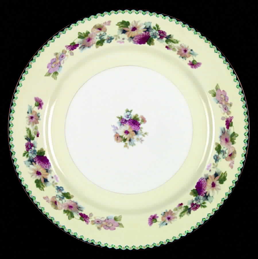 NAT27 Dinner Plate by National China-1