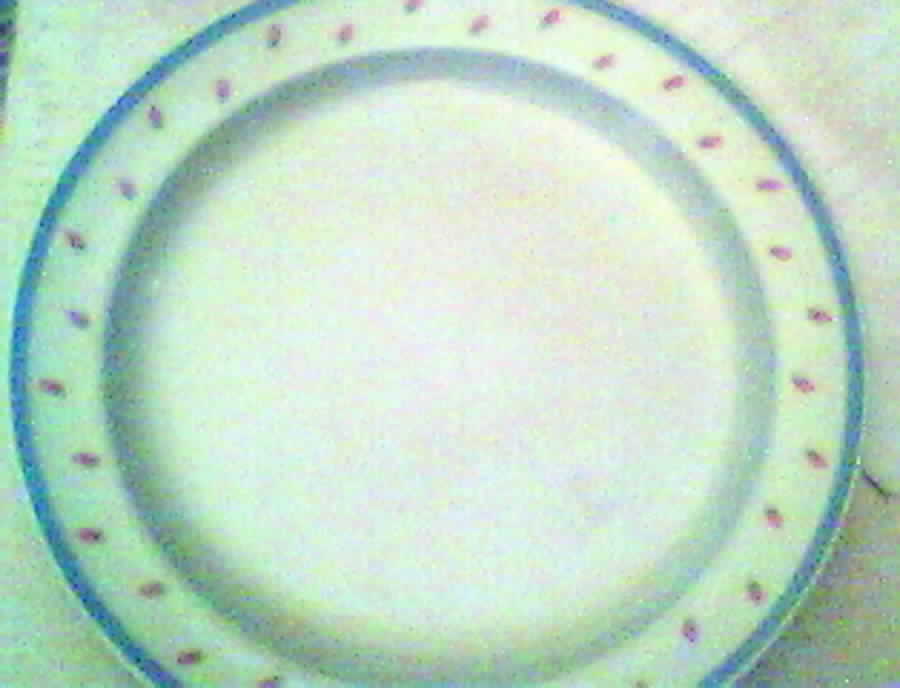 1392 Dinner Plate by Noritake-1