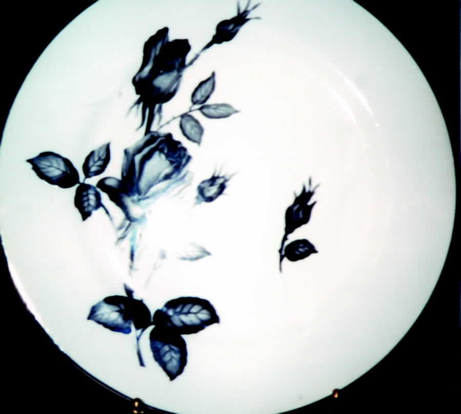 NAG20 Dinner Plate by Nagoya Shokai-1