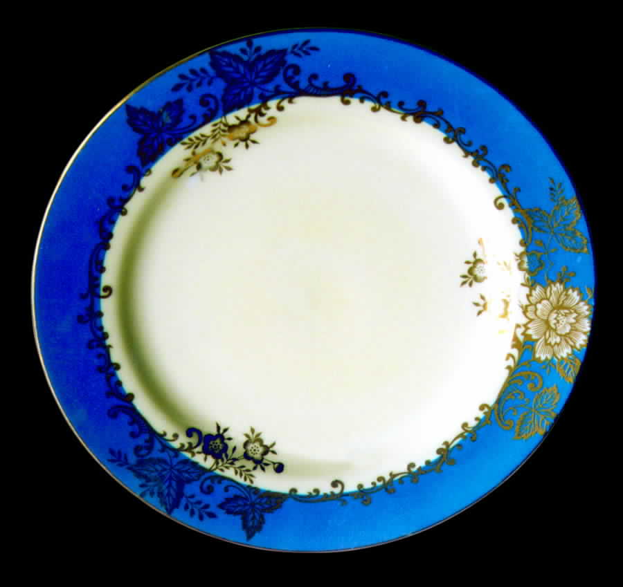 N1283 Dinner Plate by Noritake-1