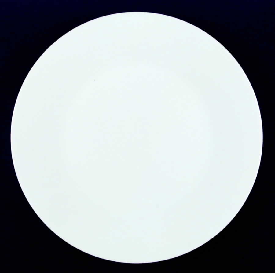 Snowville Dinner Plate by Noritake-1