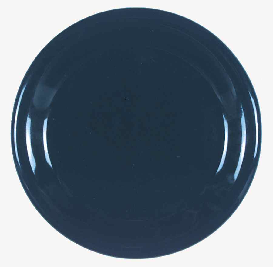 Bravo Cobalt Blue Dinner Plate by Newcor-1