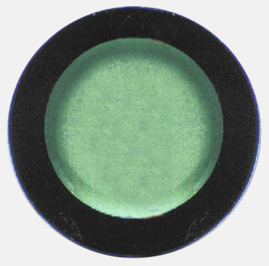 Chromatics Sage Hunter Dinner Plate by Newcor-1