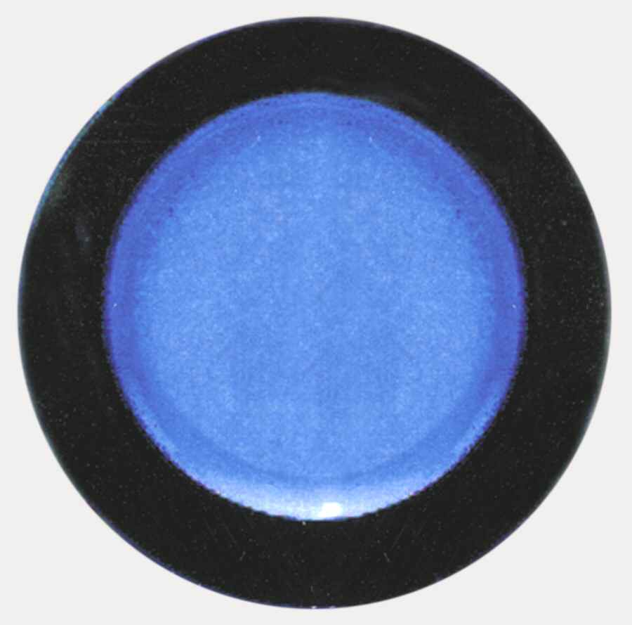 Chromatics Periwinkle Cobalt Dinner Plate by Newcor-1