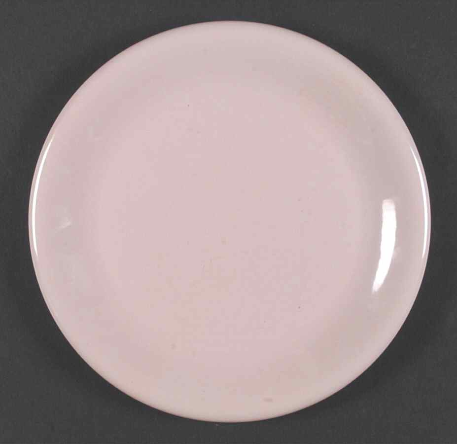 Colorifics Pink Dinner Plate by Newcor-1
