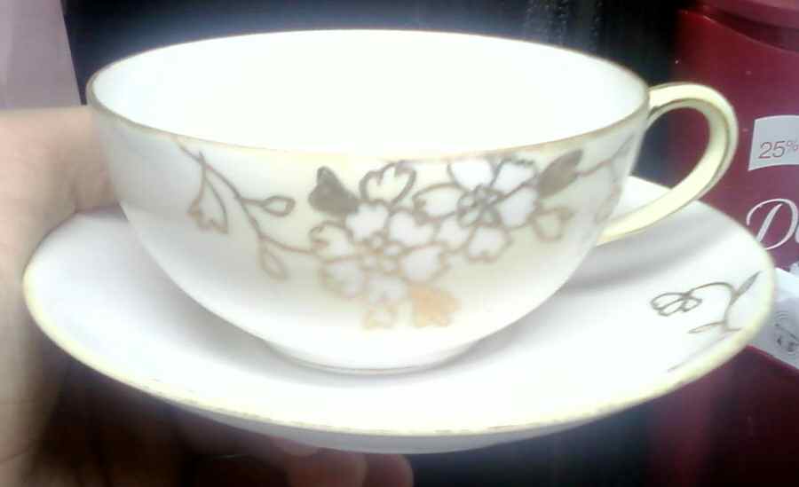N1359 Flat Cup & Saucer Set by Noritake-1