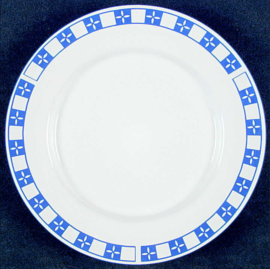 Orchard Picnic Salad Plate by Newcor-1