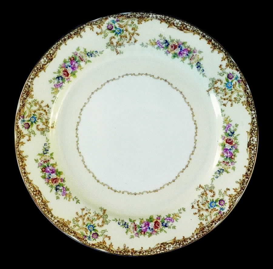 N1388 Dinner Plate by Noritake-1