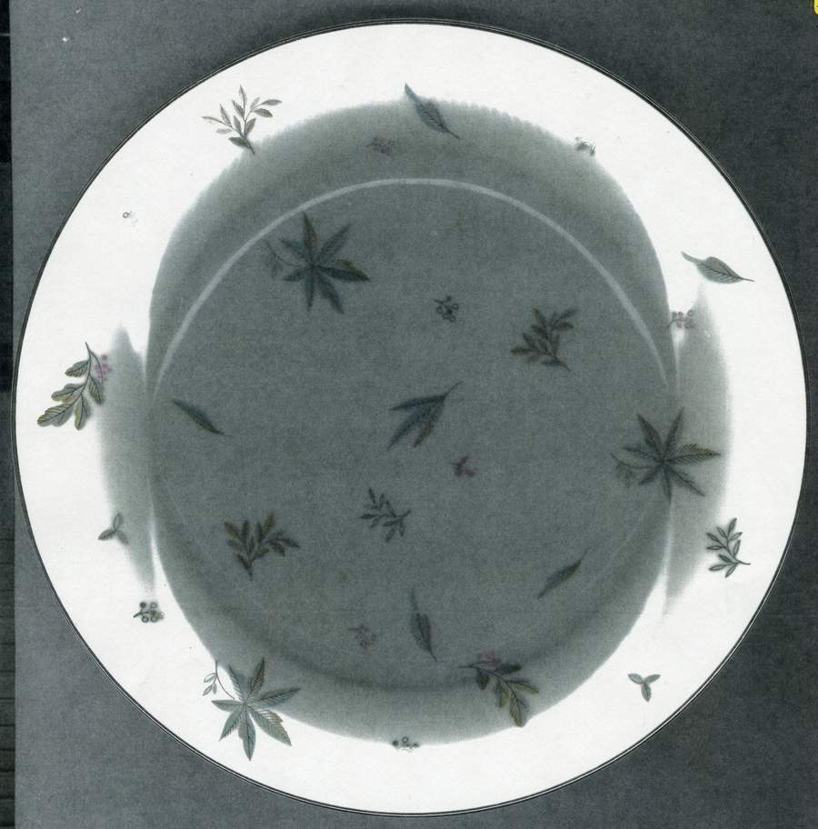 5650 Dinner Plate by Noritake-1