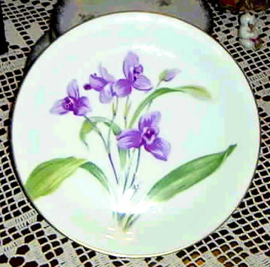 N157 Dinner Plate by Noritake-1