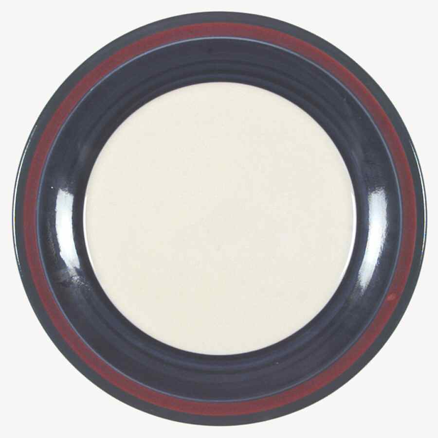 Concentrics Blue Luncheon Plate by Noble Excellence-1