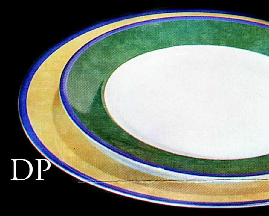 Tendances Yellow (Jaune) Dinner Plate by CNP France-1