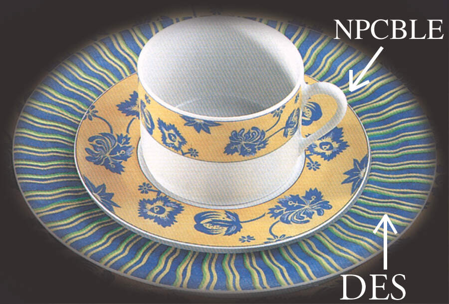 Horizon Dessert/Pie Plate by CNP France-1
