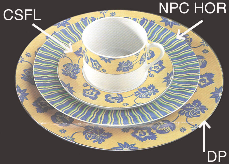 Bleut Dinner Plate by CNP France-1