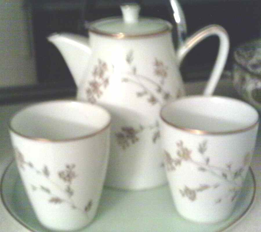 Florence (Rim) (China) Juice Tumbler by Noritake-1