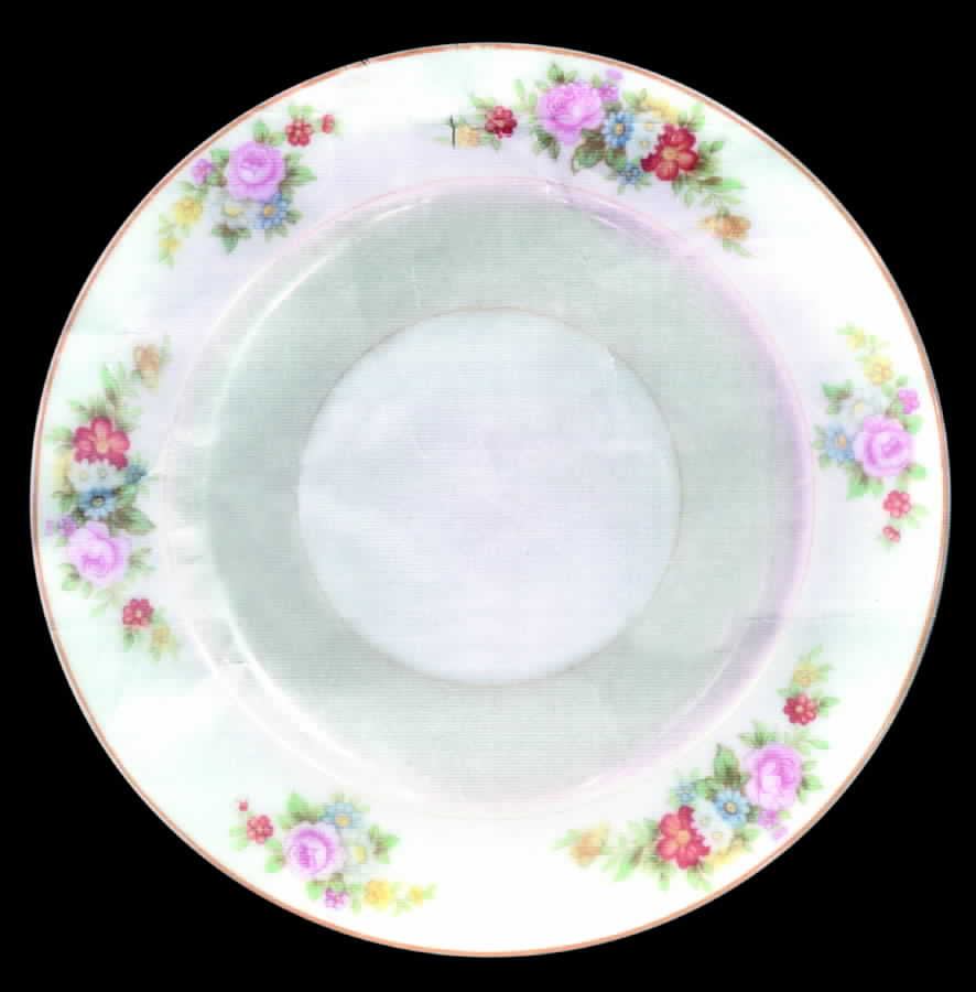 N1566 Bread & Butter Plate by Noritake-1