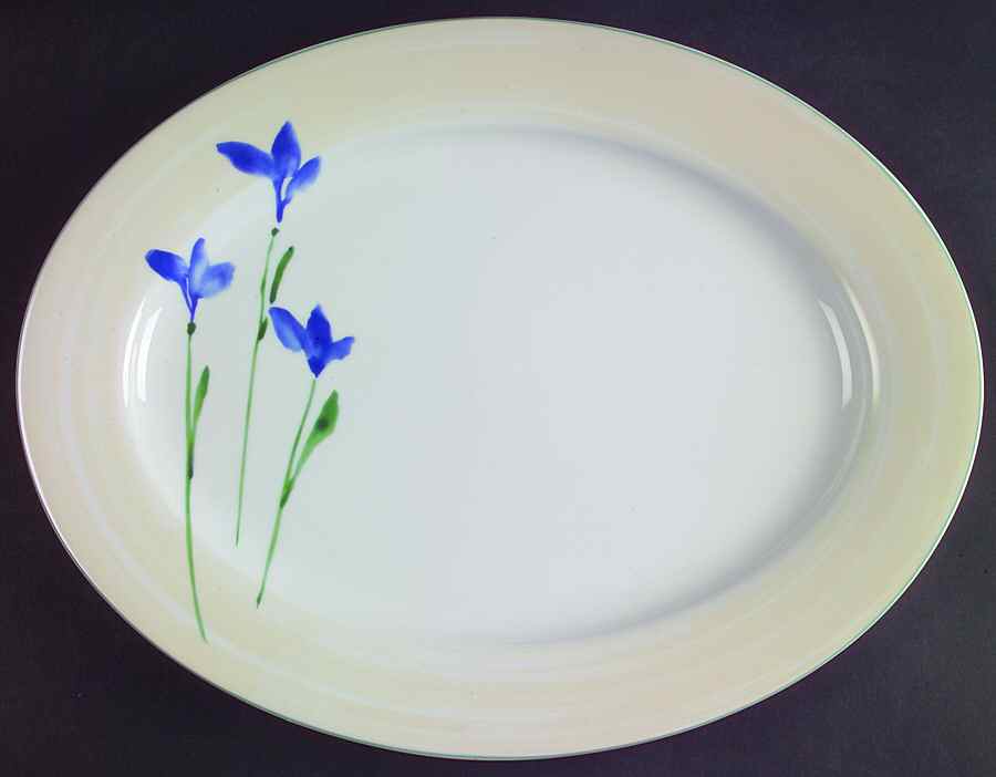 Printemps 14" Oval Serving Platter by Nikko-1