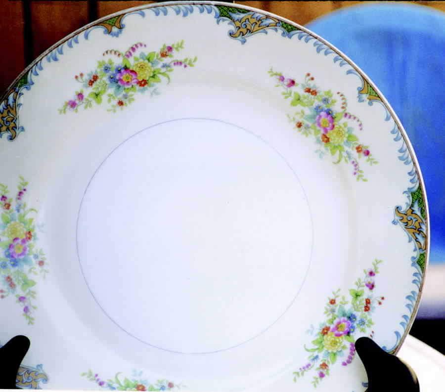 N1643 Dinner Plate by Noritake-1