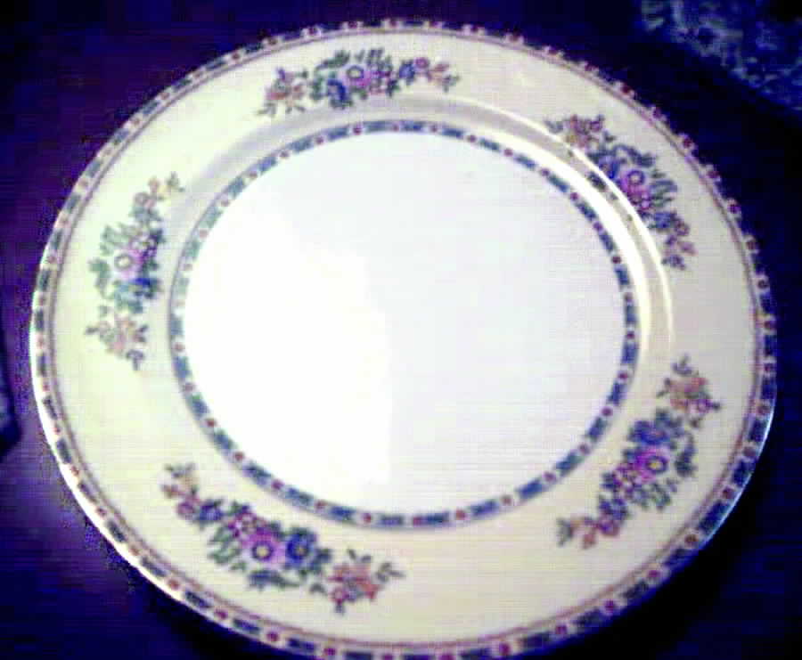 N1652 Dinner Plate by Noritake-1