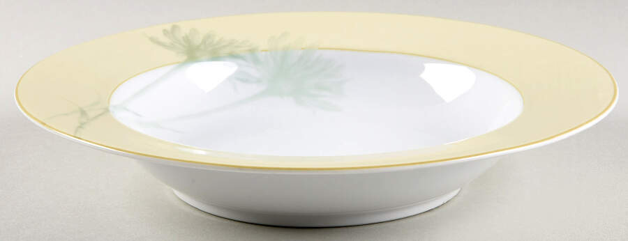 Day Dream Cream Large Rim Soup Bowl by Nikko-1