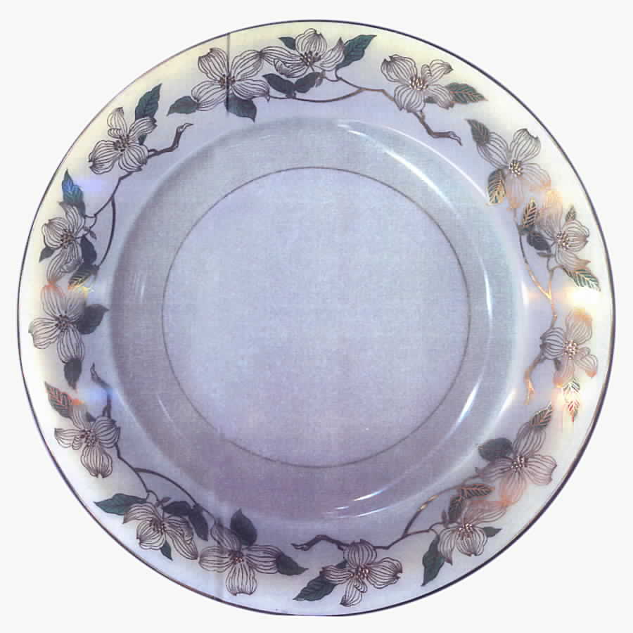 N1682 Dinner Plate by Noritake-1