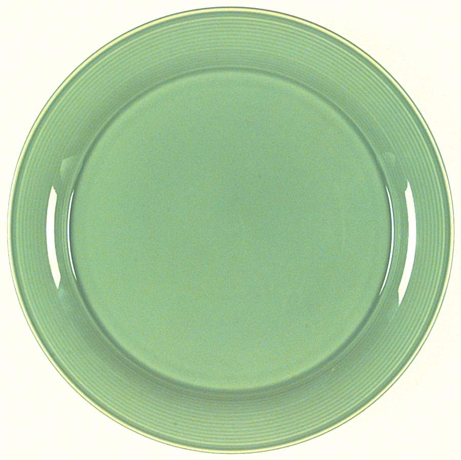 Solid Color Fern Green Dinner Plate by Nancy Calhoun-1