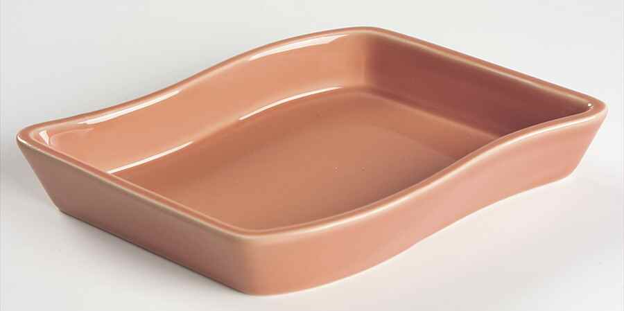 Solid Color Salmon Relish by Nancy Calhoun-1