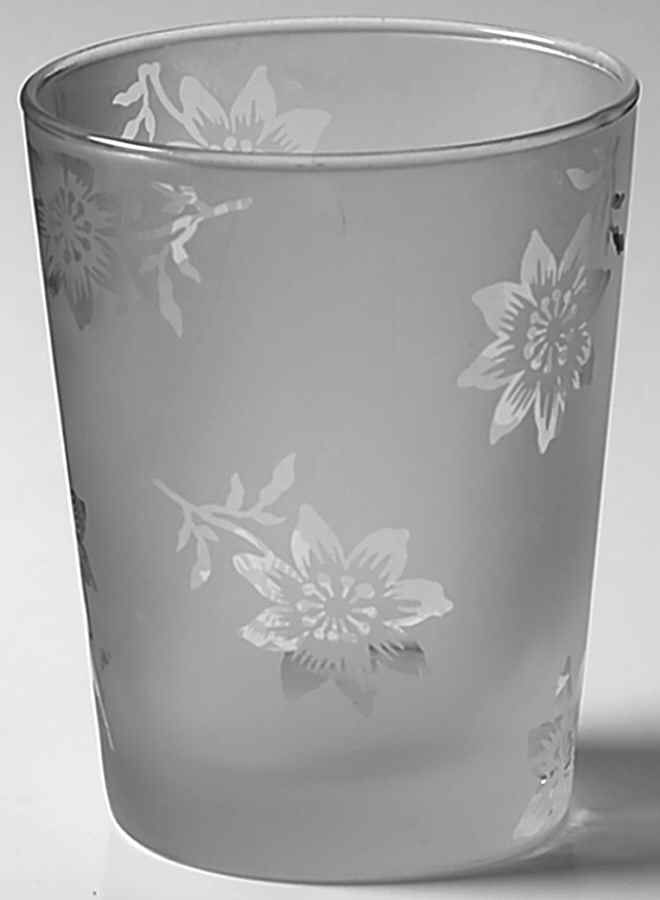 Island Flower Glassware Double Old Fashioned by Nautica-1