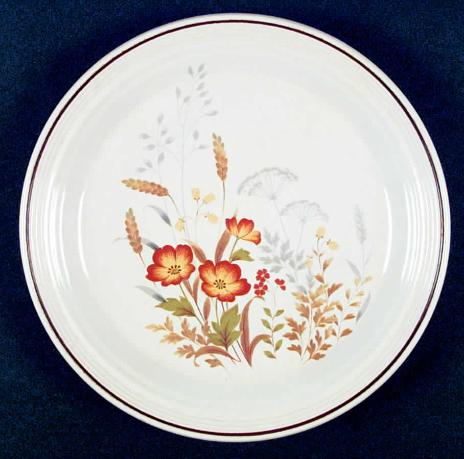 Amber Dinner Plate by Nikko-1