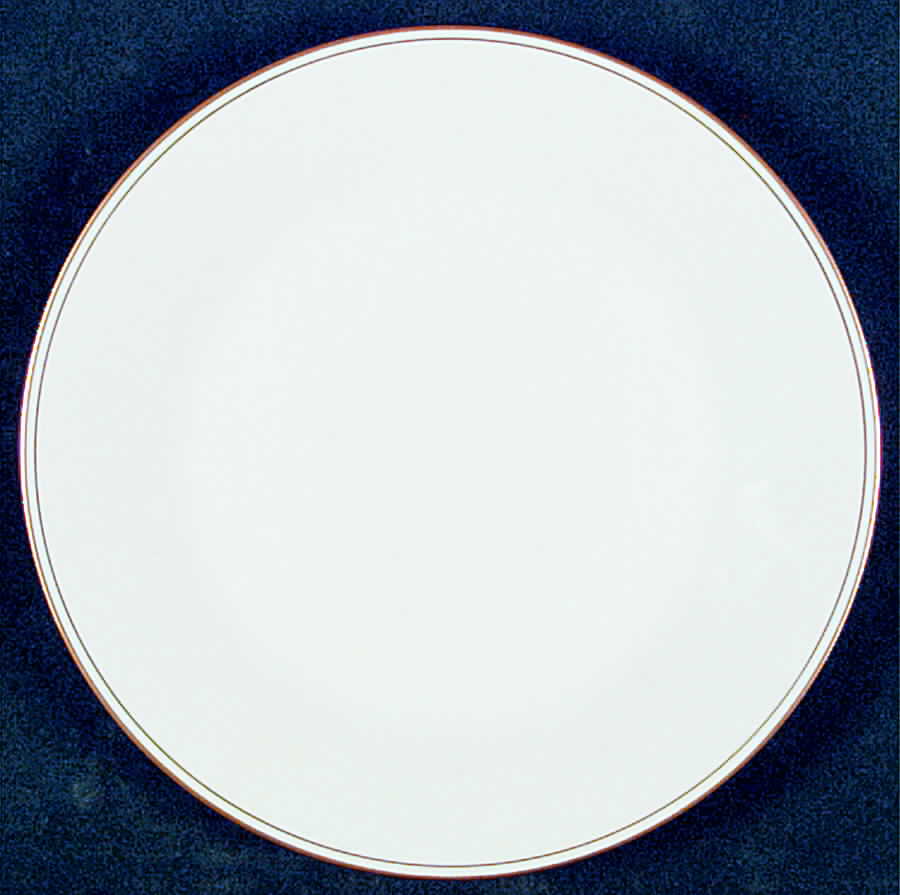 N1853 Salad Plate by Noritake-1