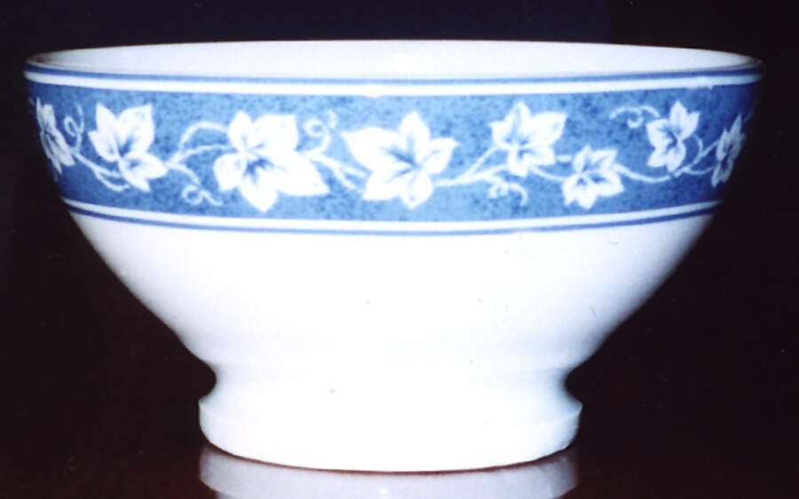 NPC3 Individual Ice Cream Dish by CNP France-1