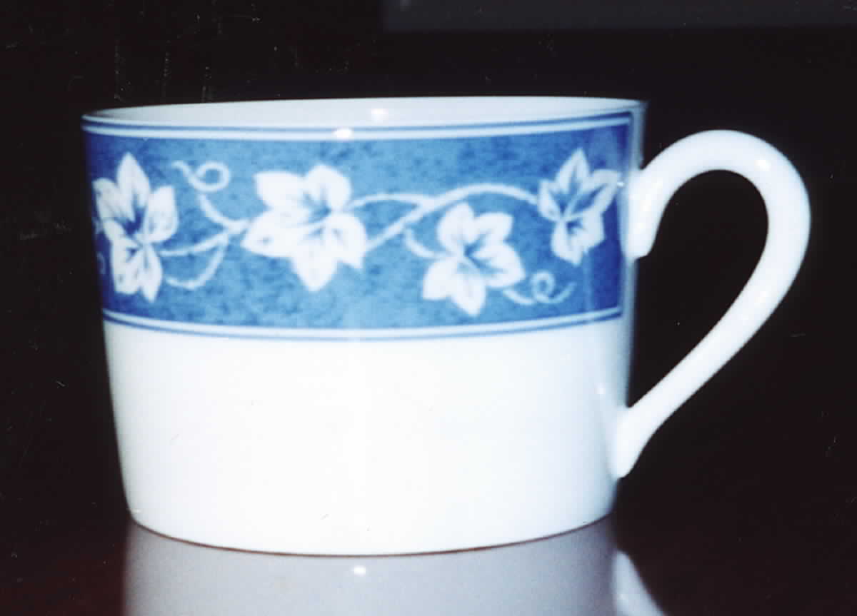 NPC3 Flat Cup by CNP France-1