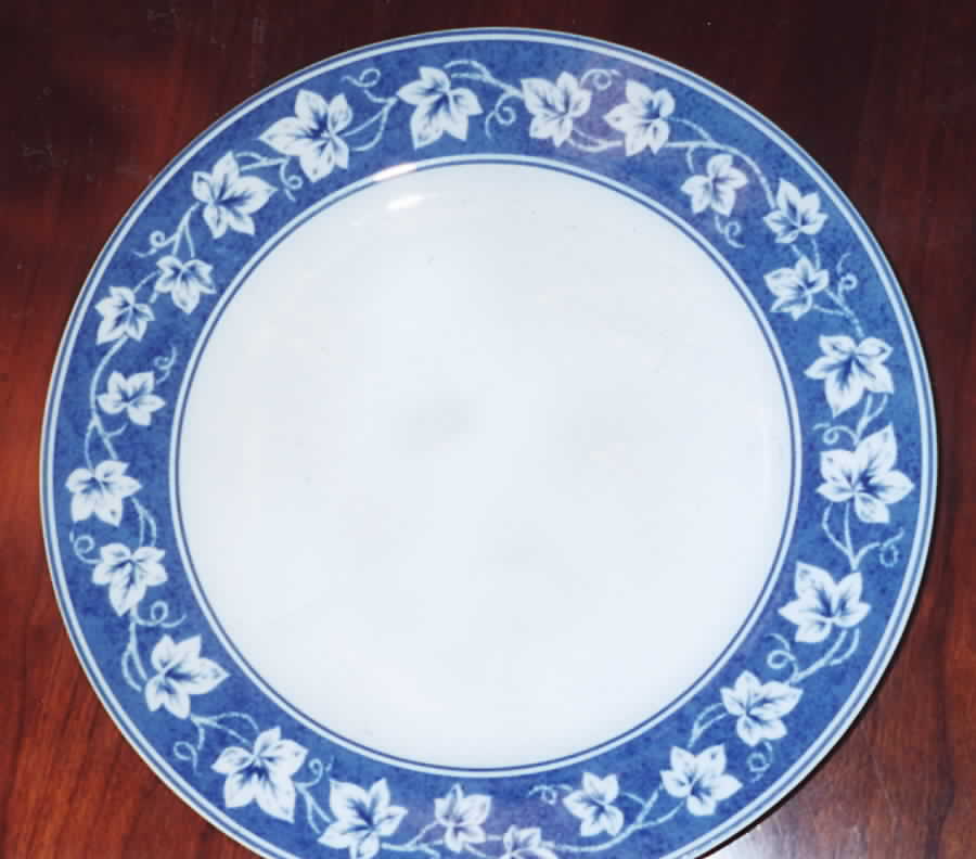 NPC3 Dinner Plate by CNP France-1