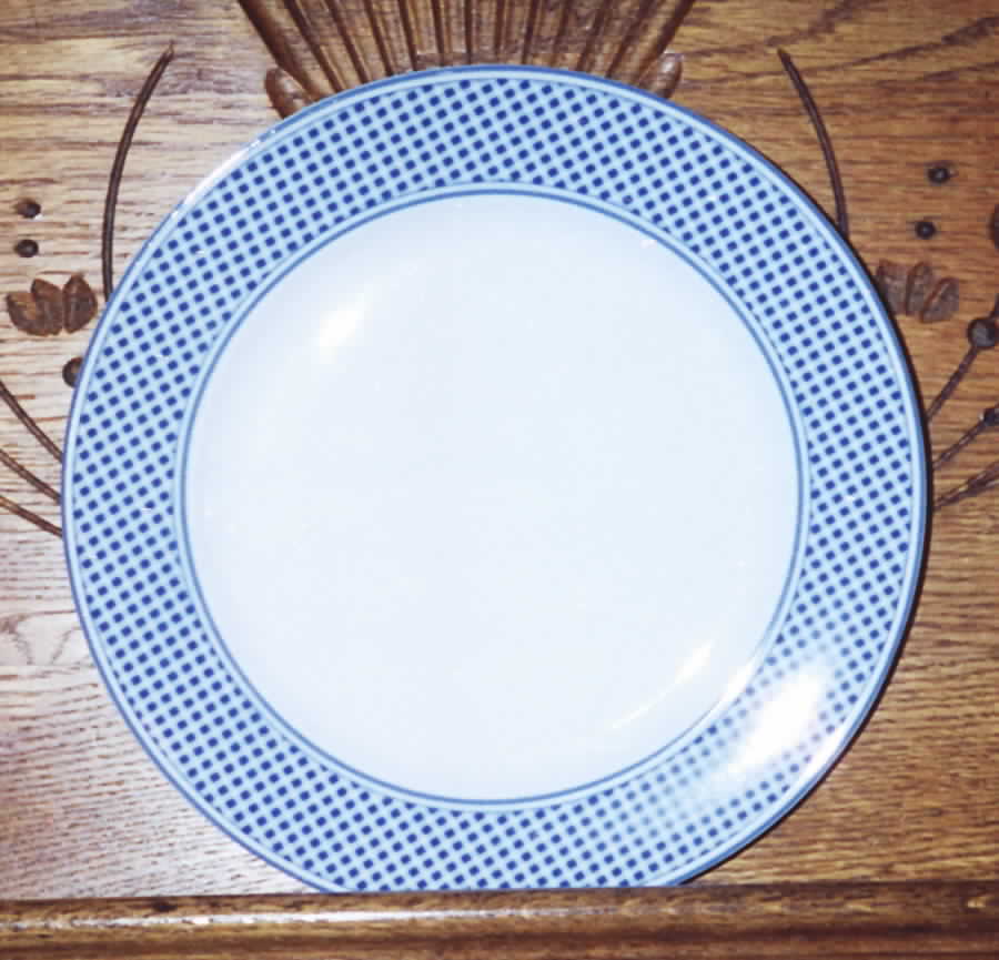 NPC3 Salad Plate by CNP France-1