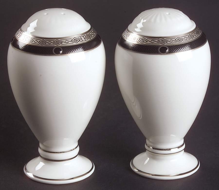Patrina Platinum Salt & Pepper Set by Noritake-1