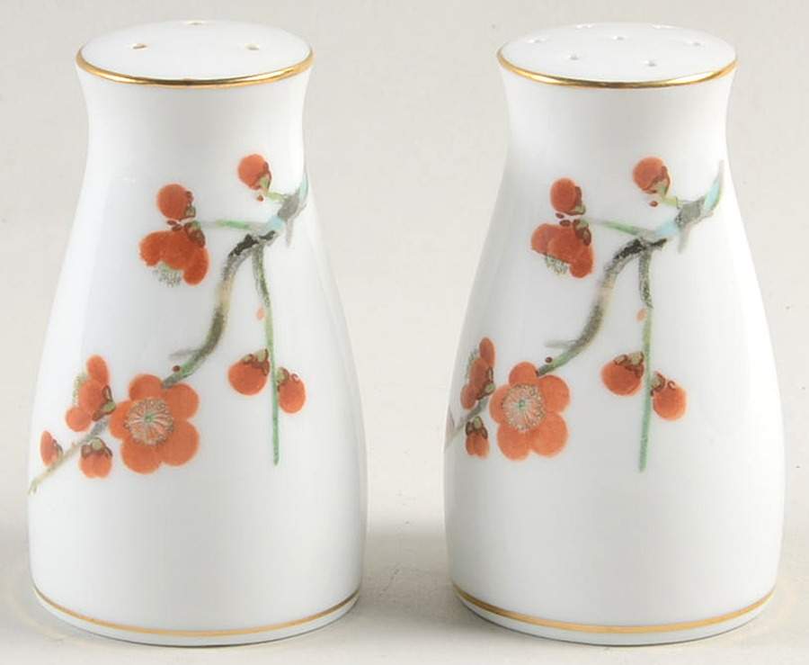 N2012 Salt & Pepper Set by Noritake-1