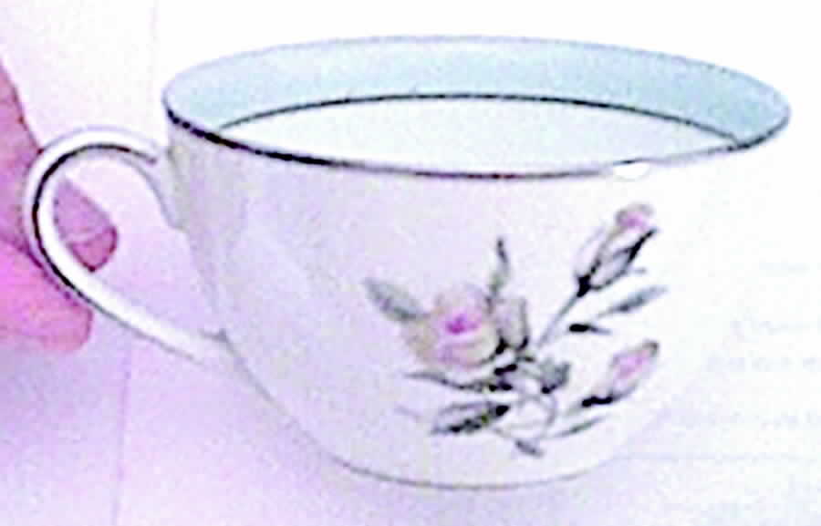 N2014 Flat Cup by Noritake-1
