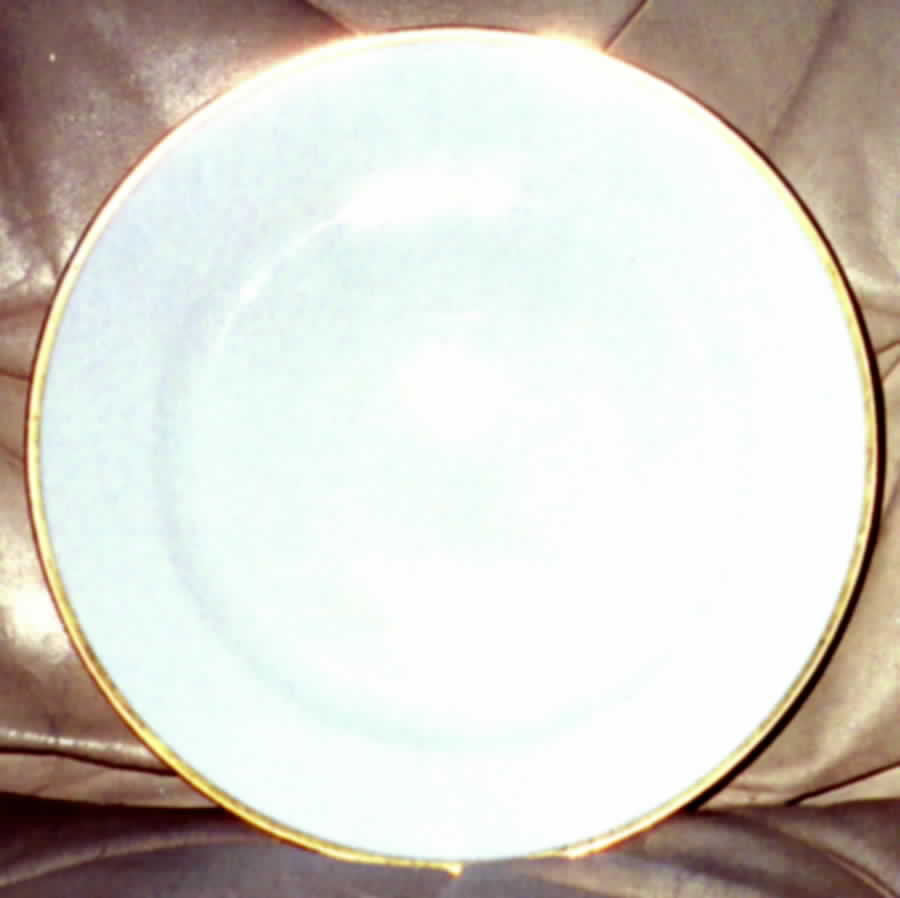 NIP66 Dinner Plate by Nippon-1