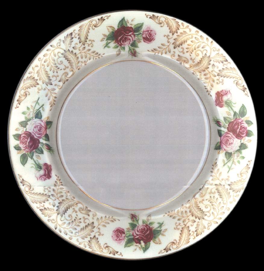 NAR63 Dinner Plate by Narumi-1