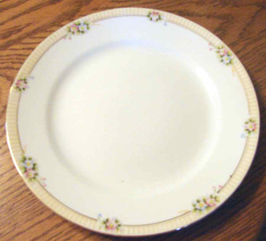 N2149 Dinner Plate by Noritake-1