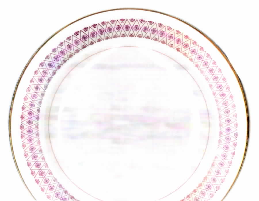 NAR67 Dinner Plate by Narumi-1