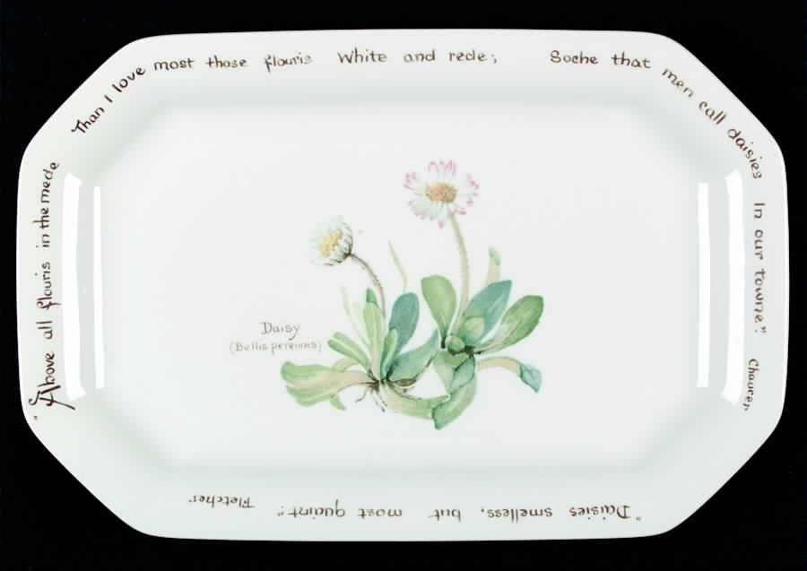 Country Diary Edwardian Lady (Octagonal) Celery by Noritake-1