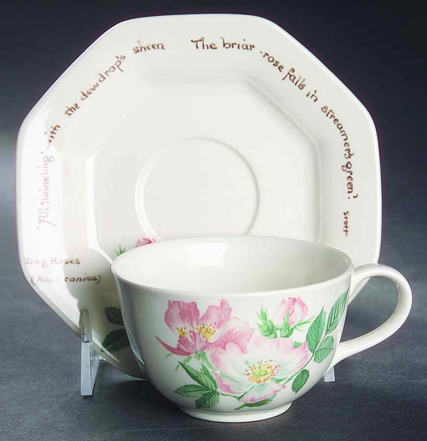 Country Diary Edwardian Lady (Octagonal) Flat Cup & Saucer Set by Noritake-1