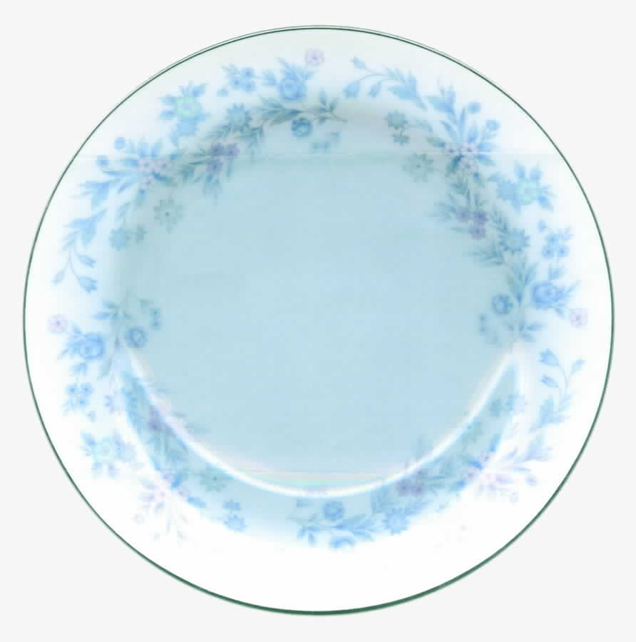 Laurentian Salad Plate by Nitto-1