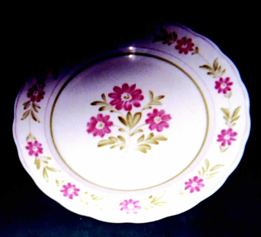 Marguerite Dinner Plate by Nikko-1
