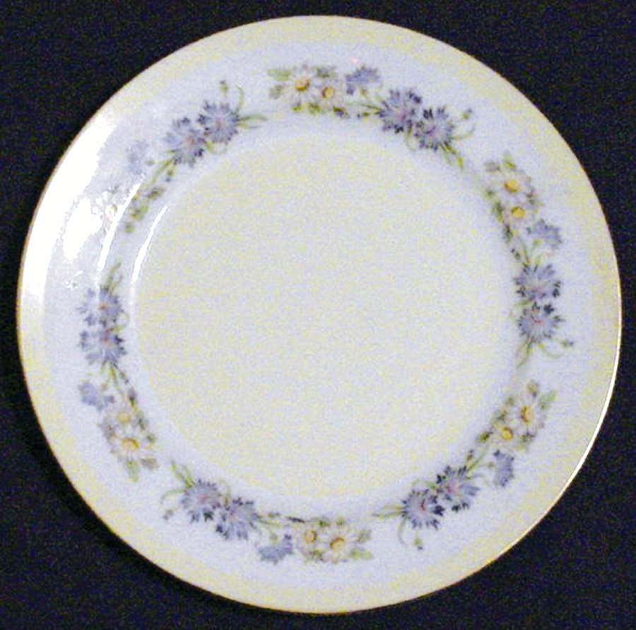 N2259 Dinner Plate by Noritake-1